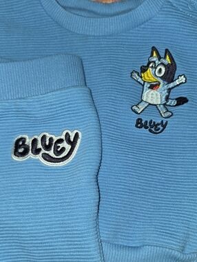Bluey Sweatshirt & Pants Set with Embroidered Design Size 0-3 Months